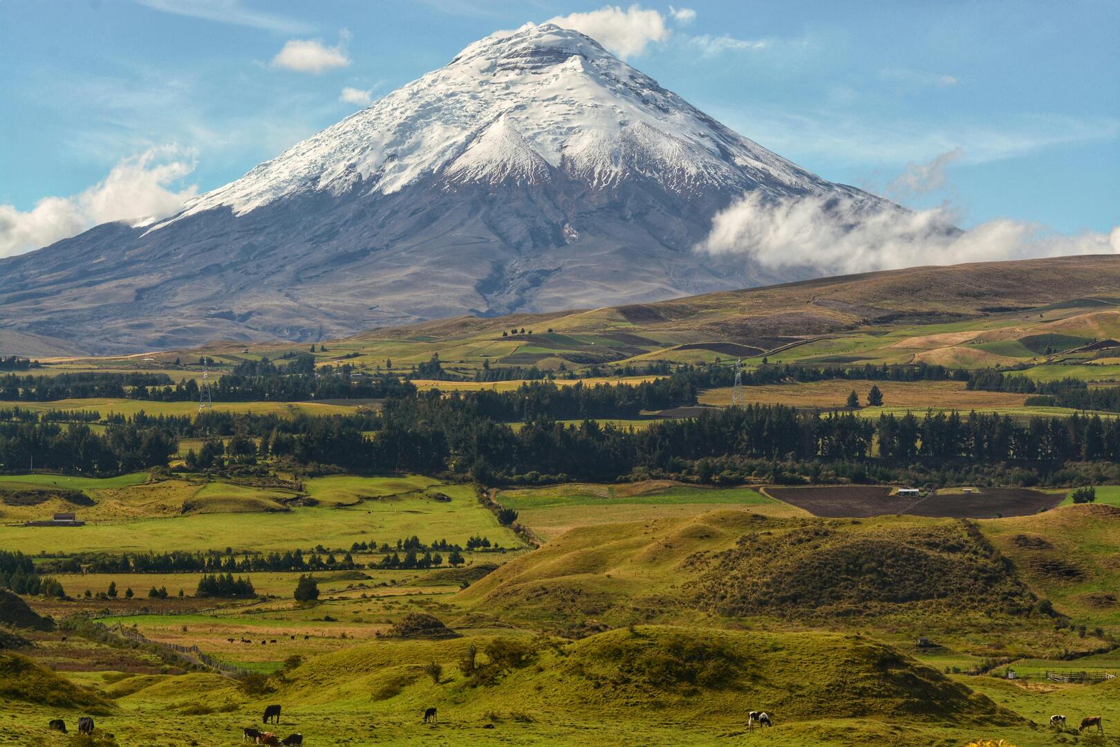 Cotopaxi from the Andean Highlands, Ecuador